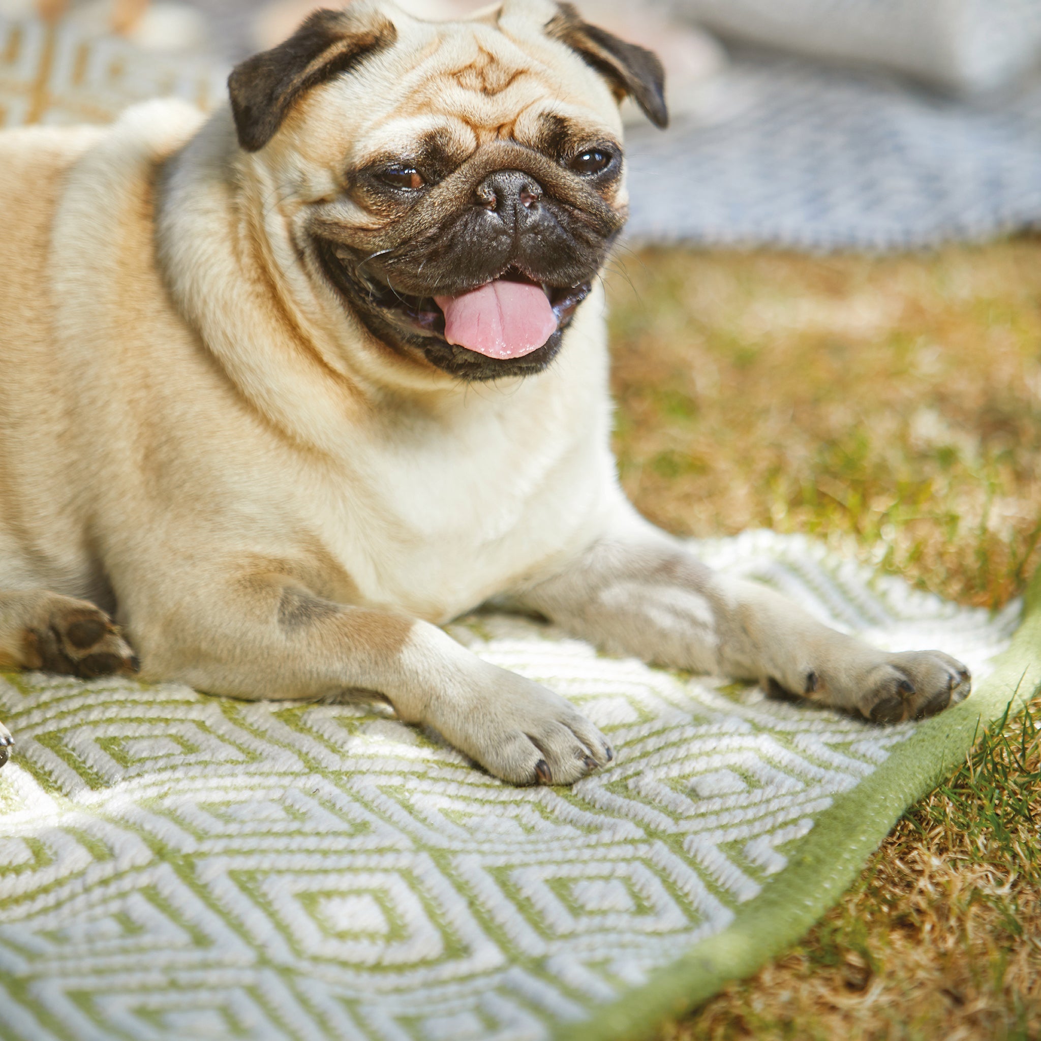 Diamond Washable Rug Green 3