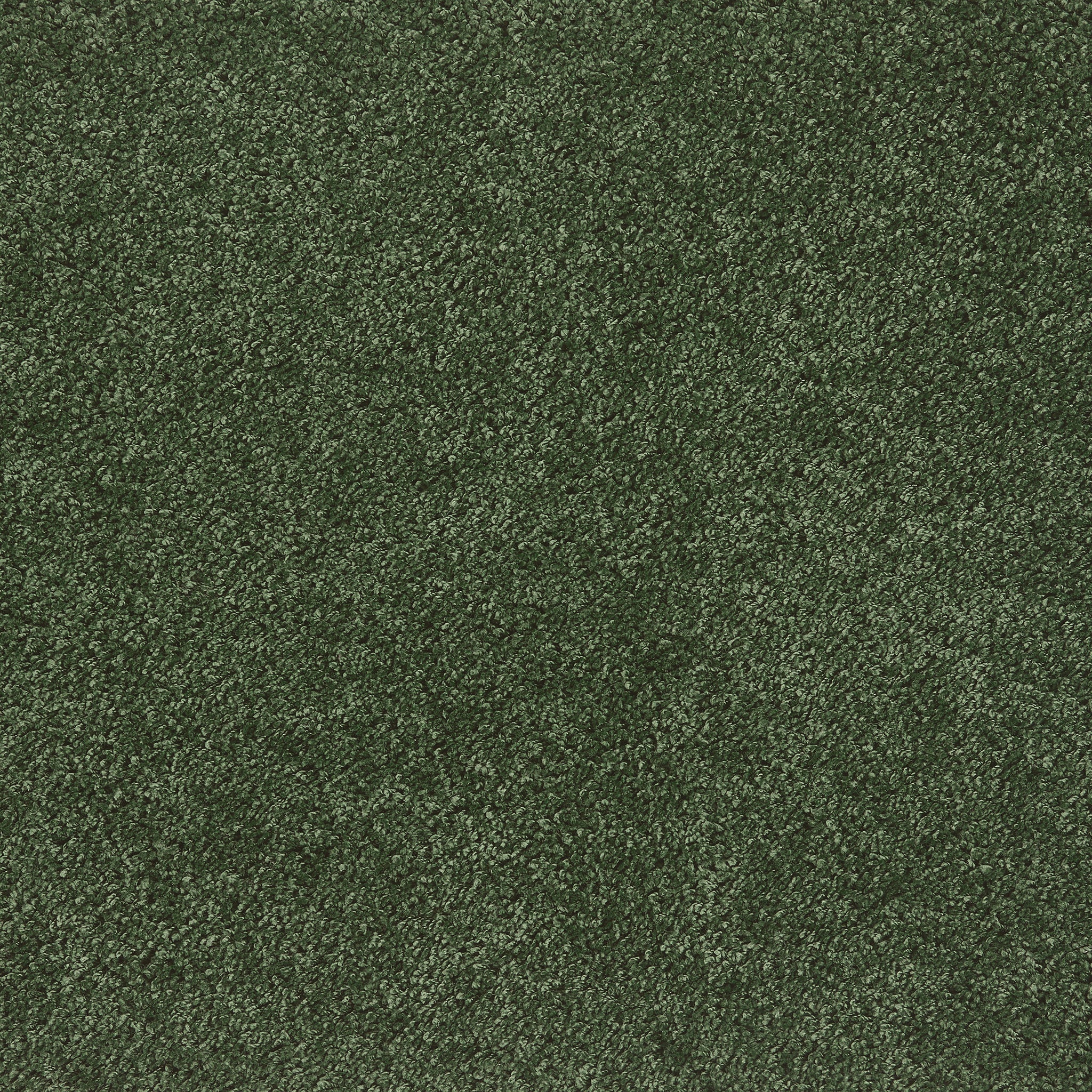 My Rug Forest Green 6