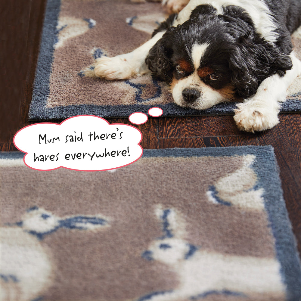 Hare 1 Brown Washable Doormat 3