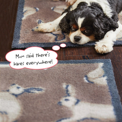 Hare 1 Brown Washable Doormat 3