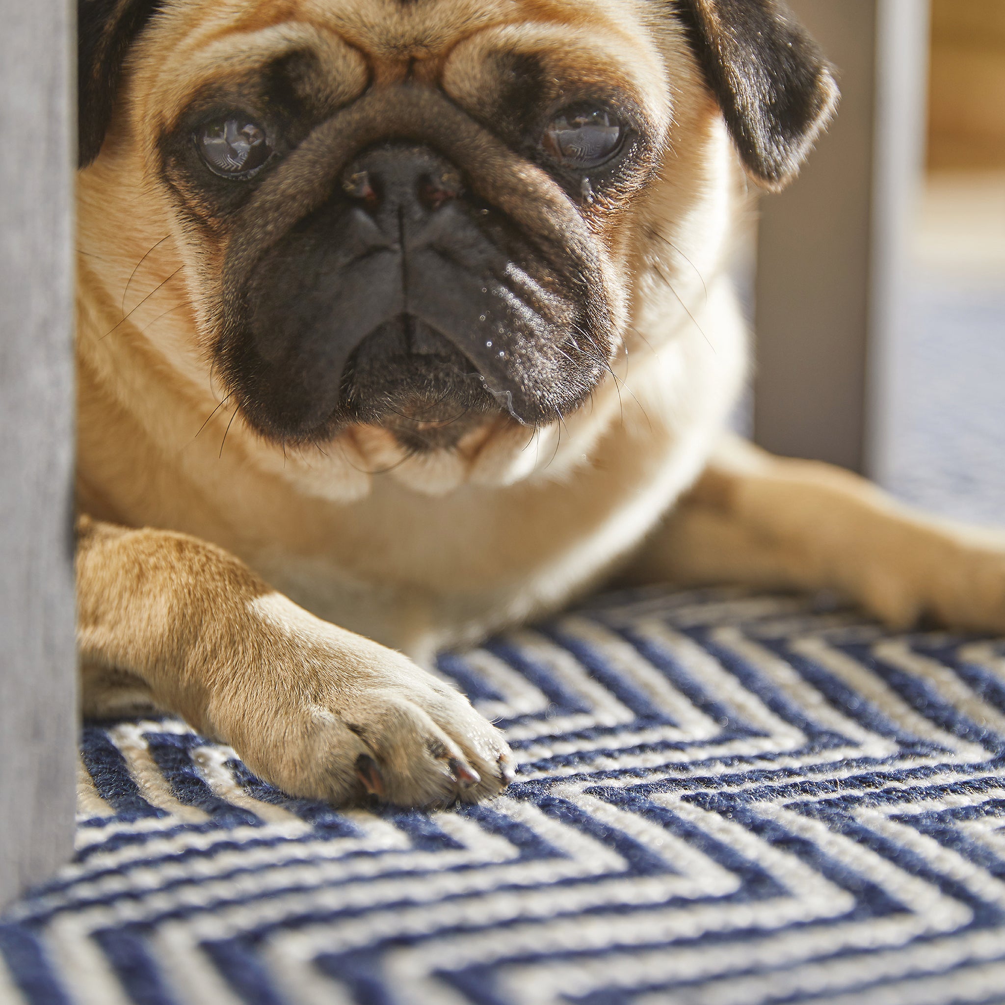 Herringbone Washable Rug Navy 3