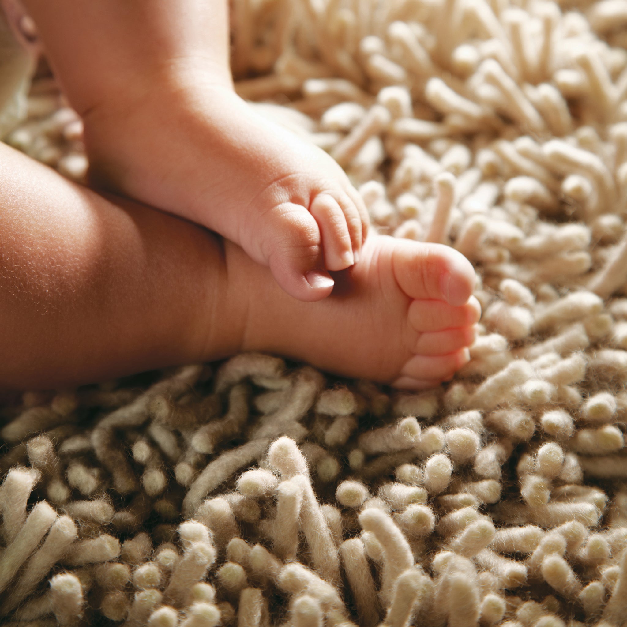 Imperial Rug Oyster 3