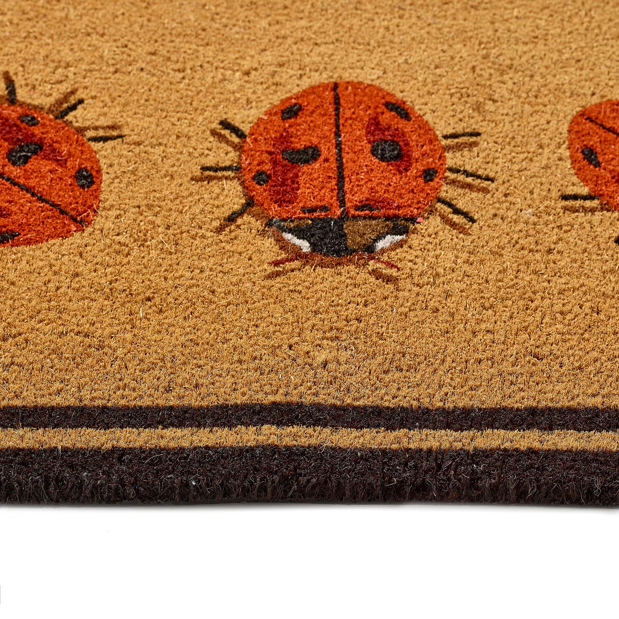 Ladybird Coir Doormat 4