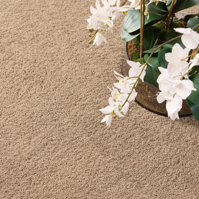 My Lux Stone Rug 6
