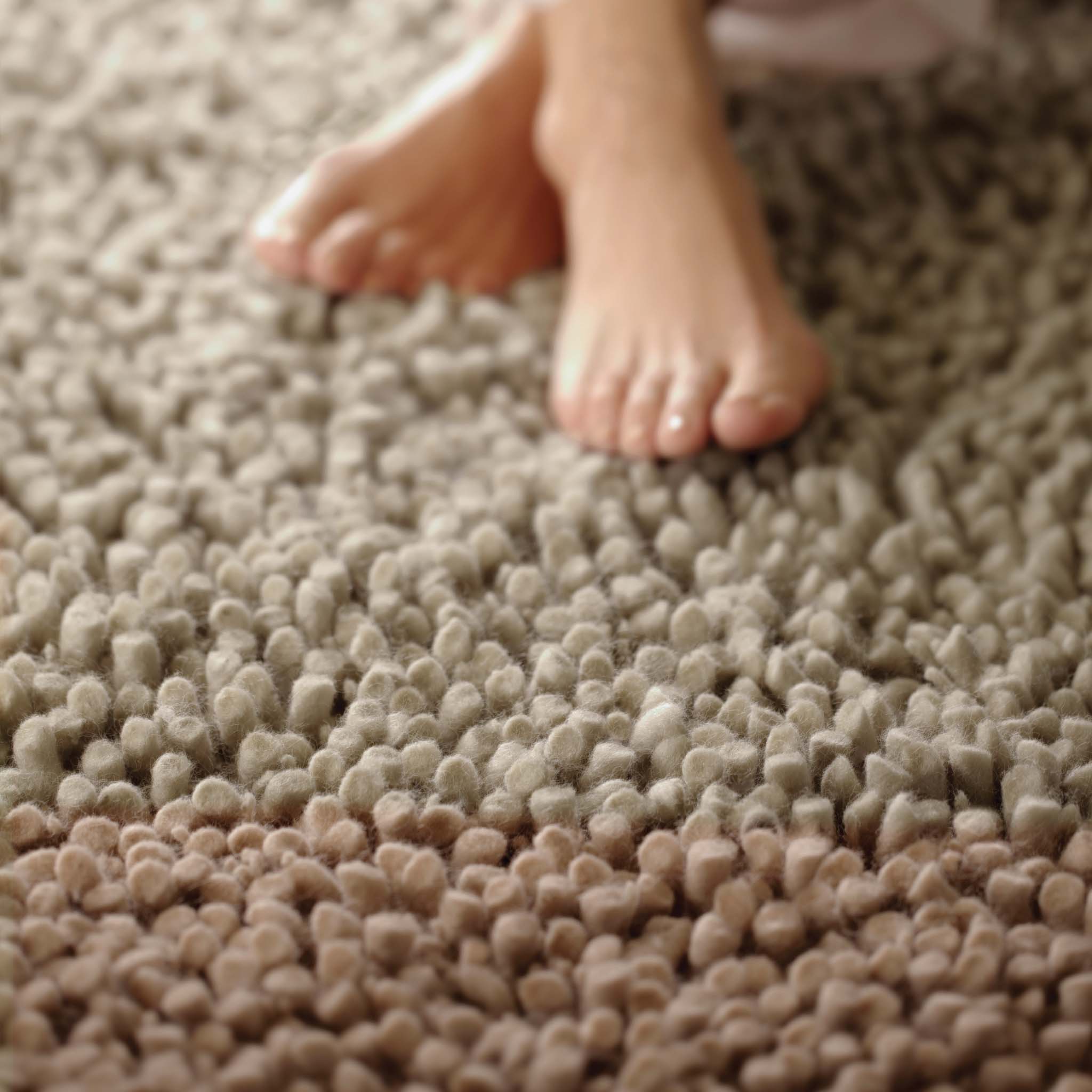 Maine Rug Oyster 3
