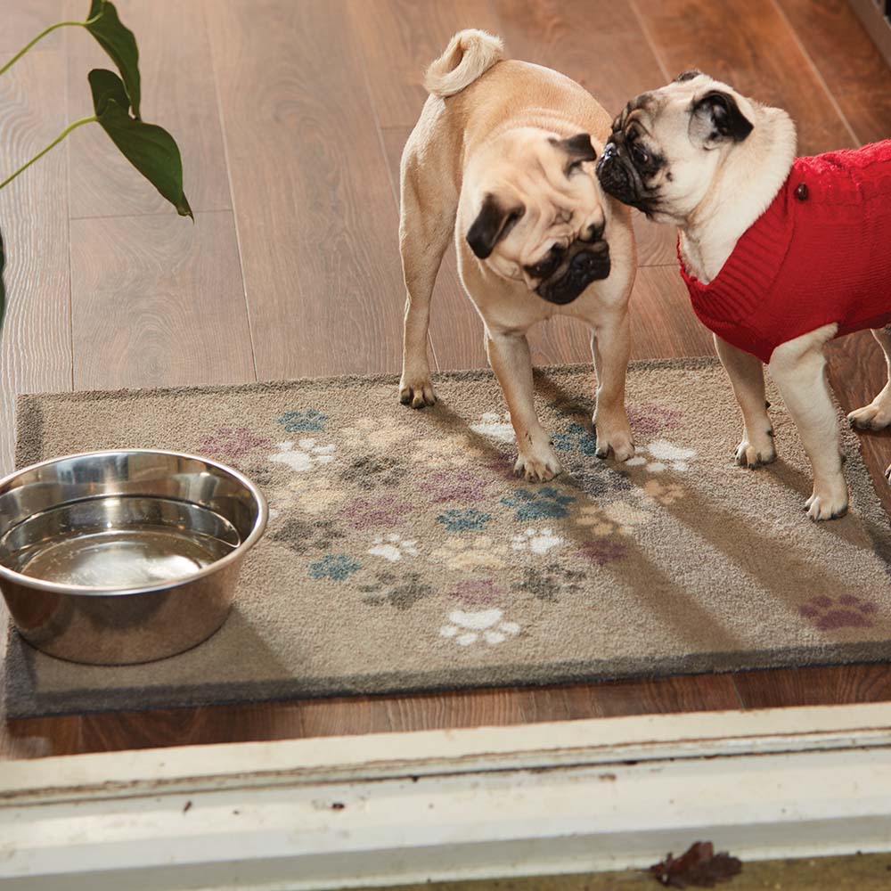 Lifestyle image of two dogs stood on a brown Pet 45 washable doormat from Hug Rug