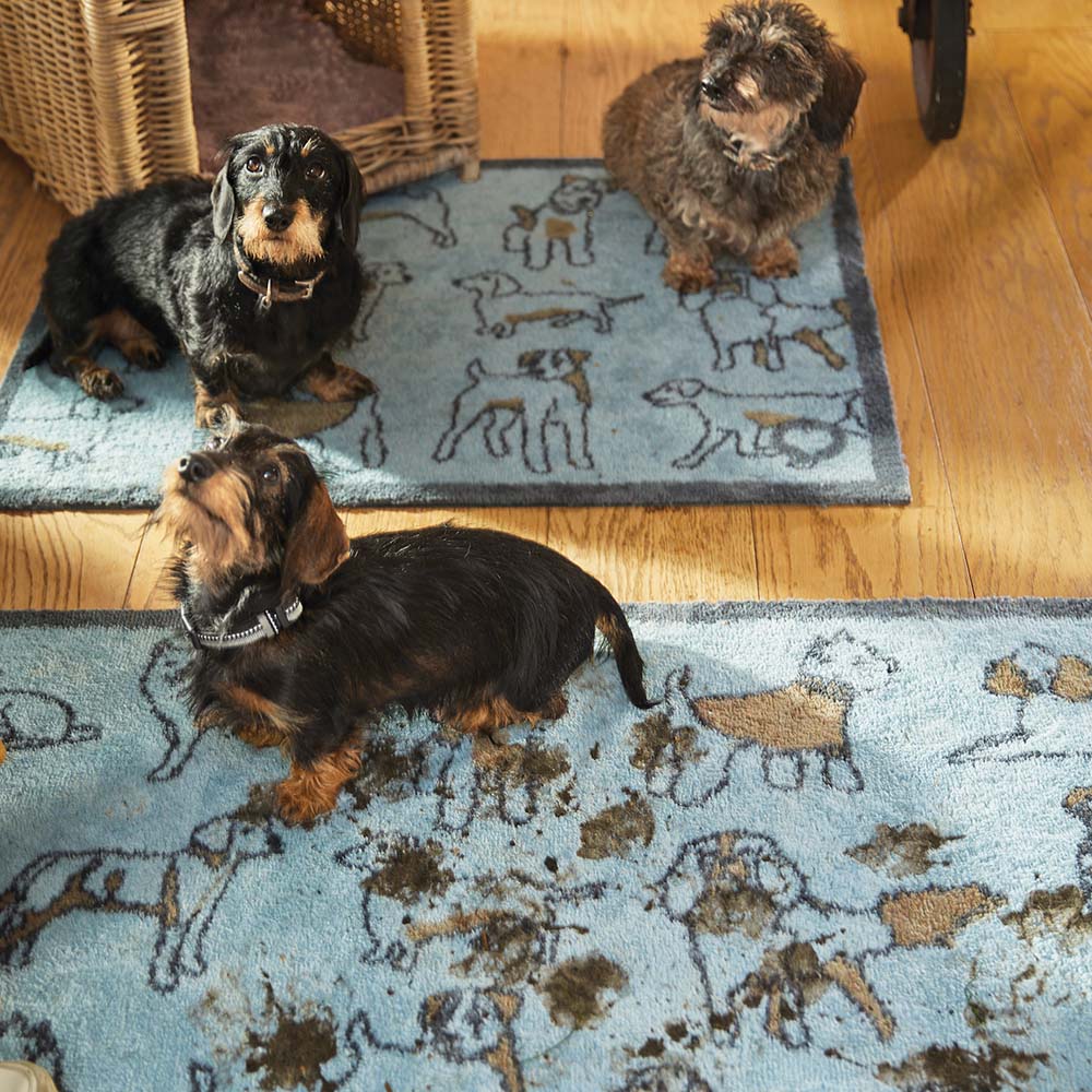 Lifestyle image of 3 dogs sat on a blue Pet 75 washable doormat and washable runner from Hug Rug
