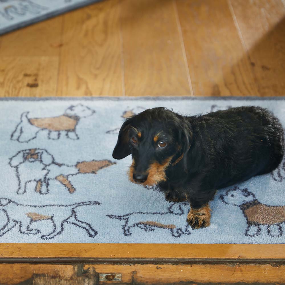 Lifestyle image of a dog sat on a blue Pet 75 washable doormat from Hug Rug