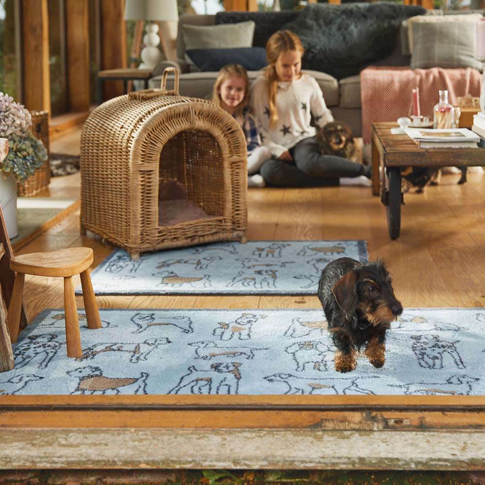 Lifestyle image of a dog walking on a blue Pet 75 washable doormat and washable runner from Hug Rug