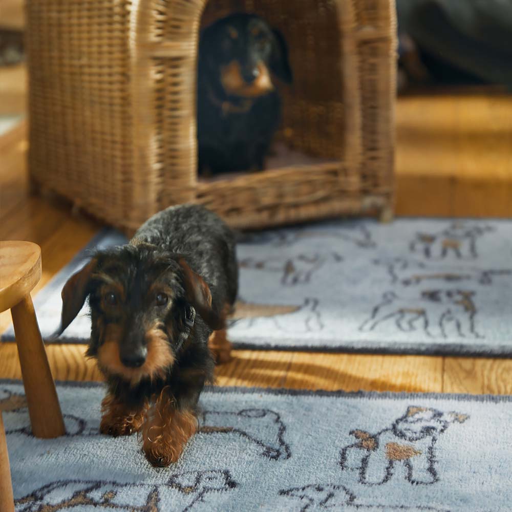 Lifestyle image of 2 dogs on a blue Pet 75 washable doormat and washable runner from Hug Rug