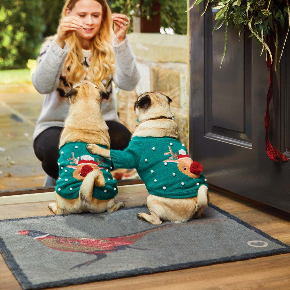 Pheasant 1 Grey Washable Doormat 4