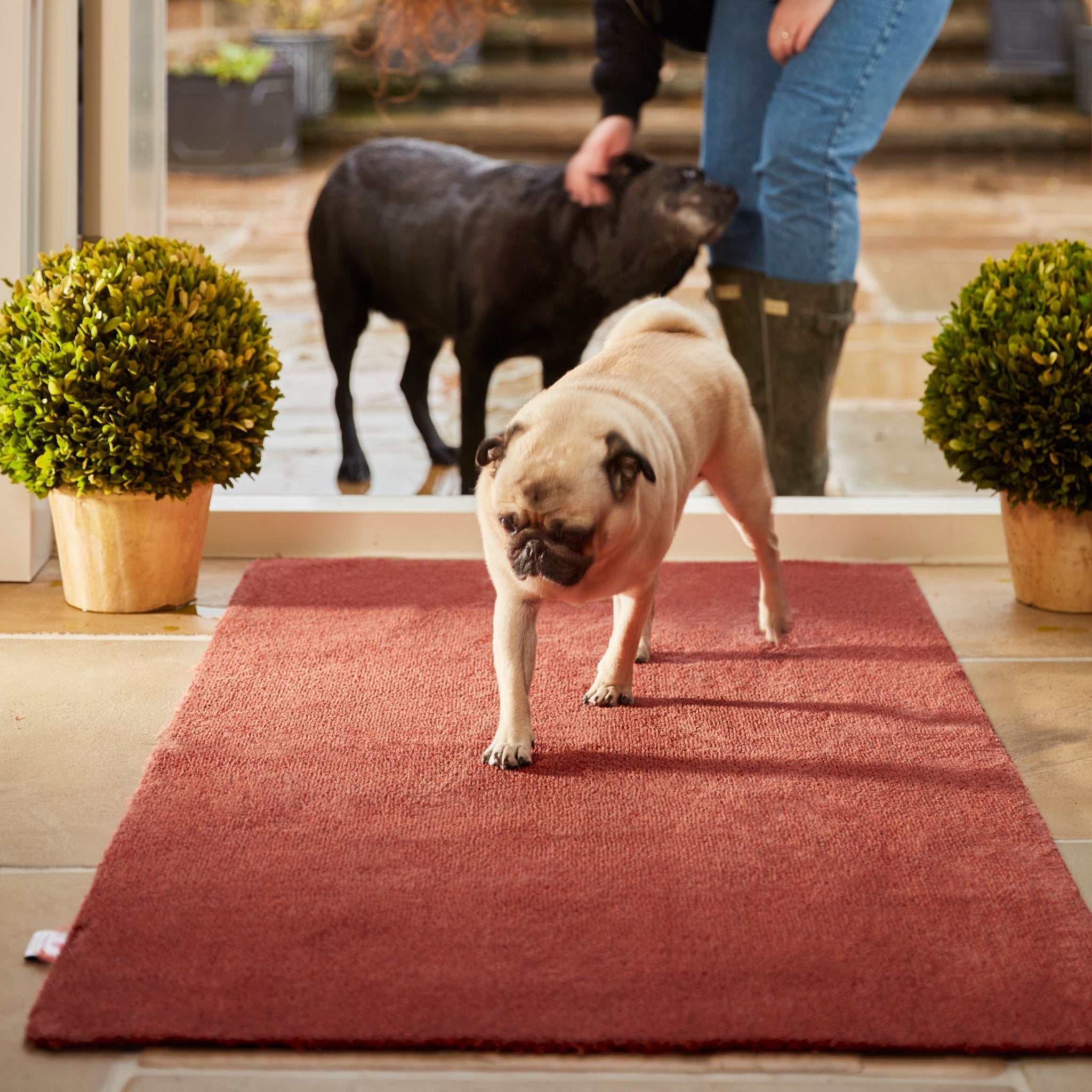 Plain Fleck - Terracotta Doormat 5