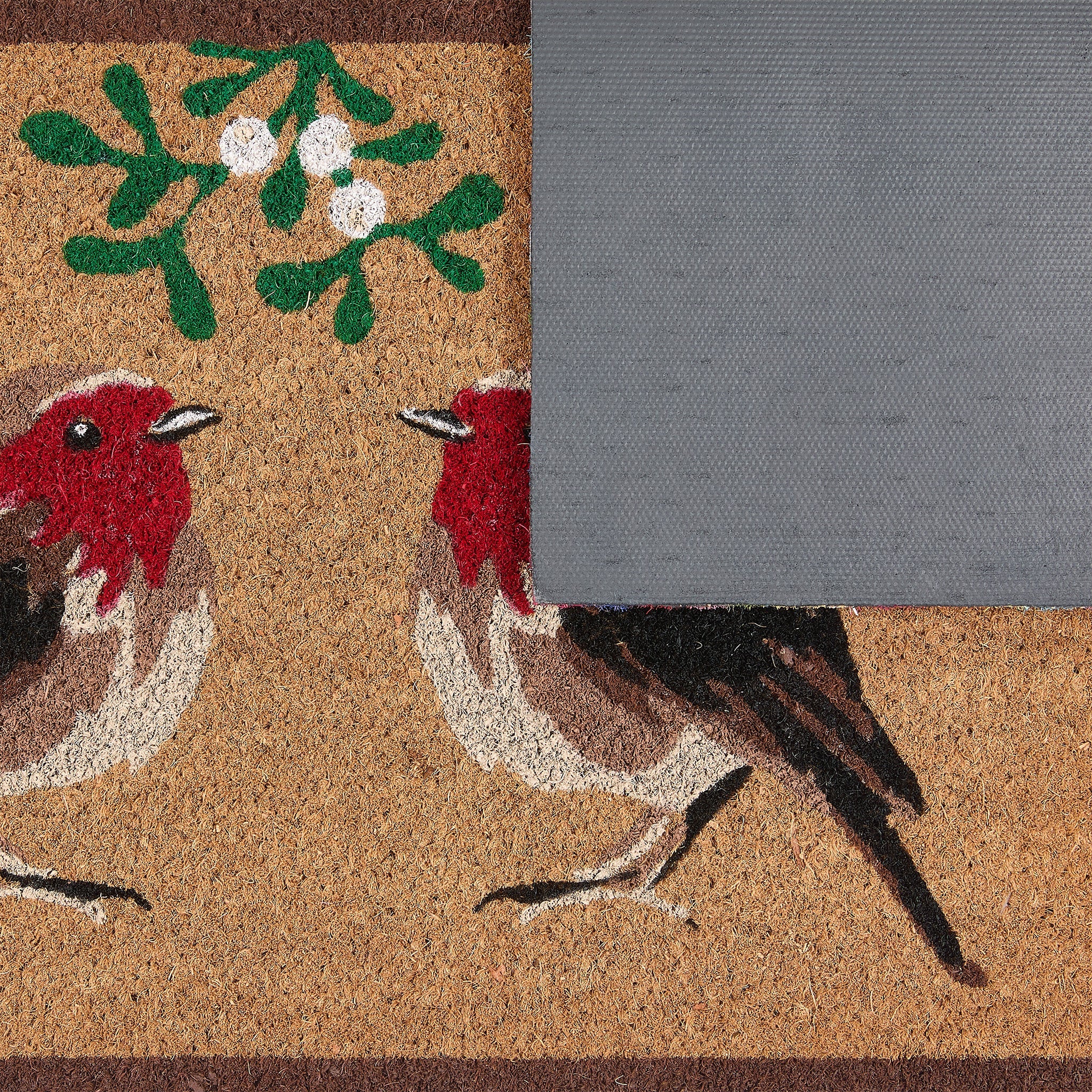 Robin Coir