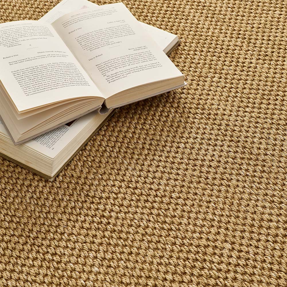 Sisal Rug Natural with Dark Brown Border 3