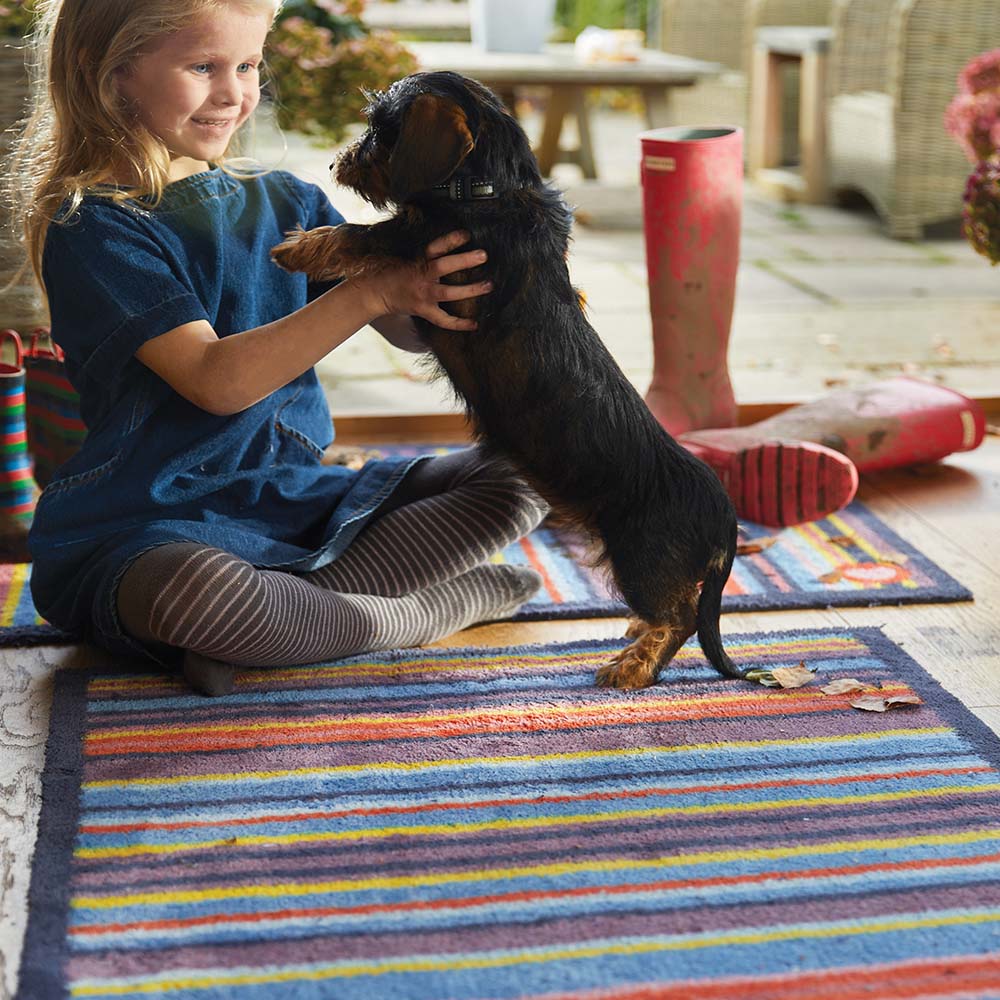 Stripe 85 Multi Washable Doormat