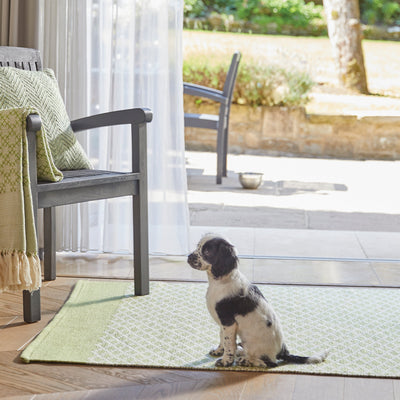Trellis Washable Rug Green 2