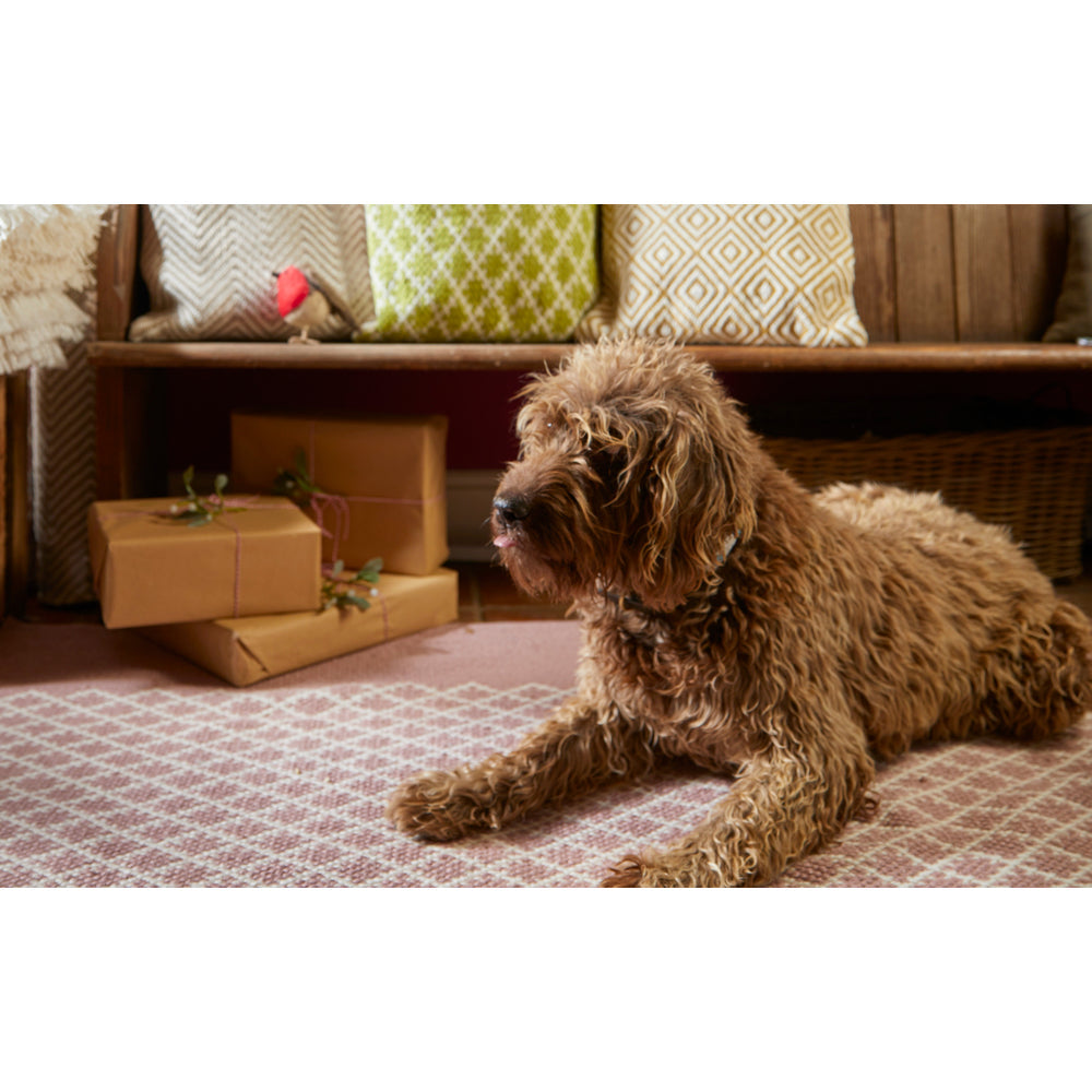 Trellis Washable Rug Rose 4