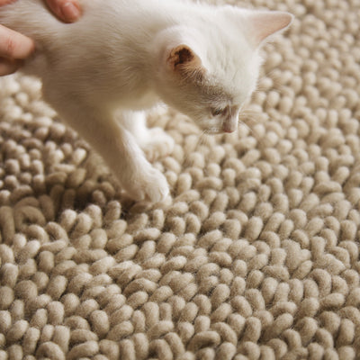Union Rug Oyster 4