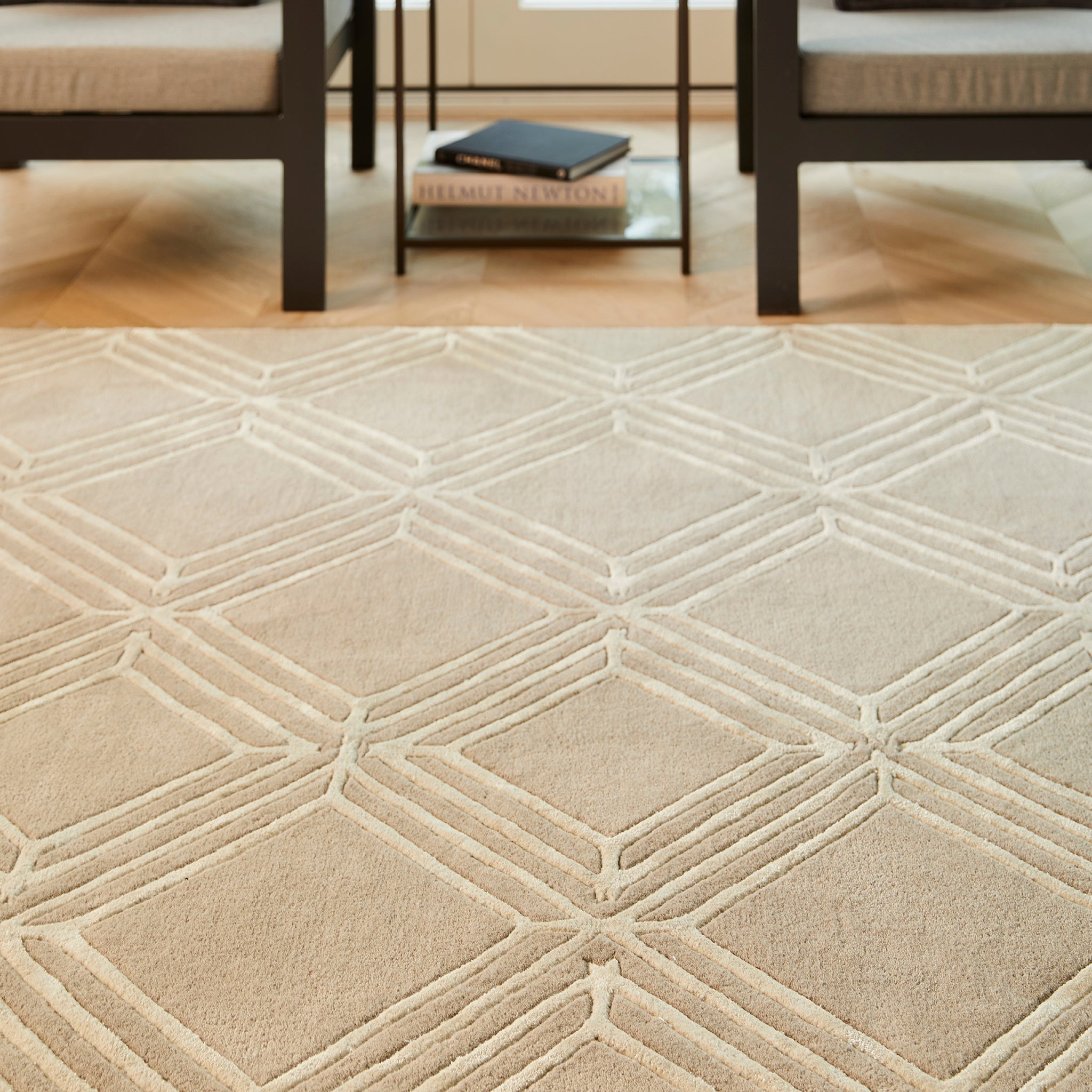 Vienna Rug Mink 2