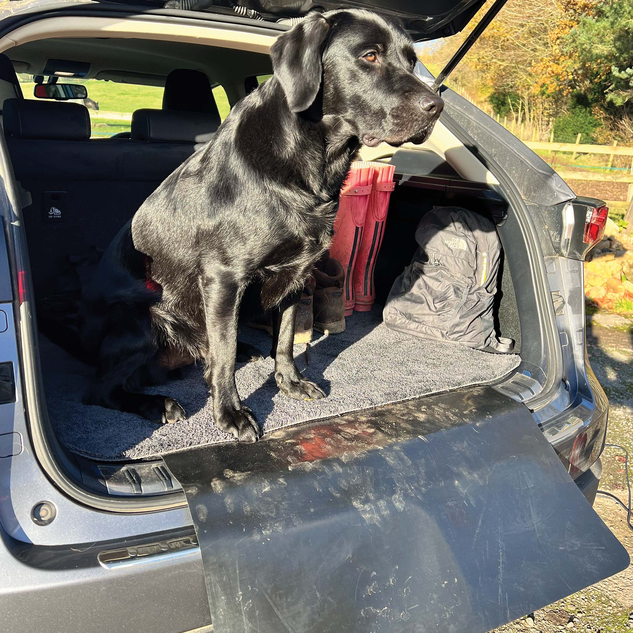Sense Charcoal - Car Boot Protector 2