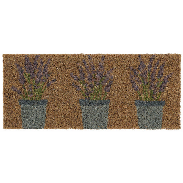 Coir Insert Lavender