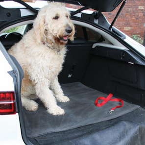 Car Boot Protectors