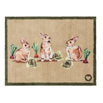 Allotment Bunnies