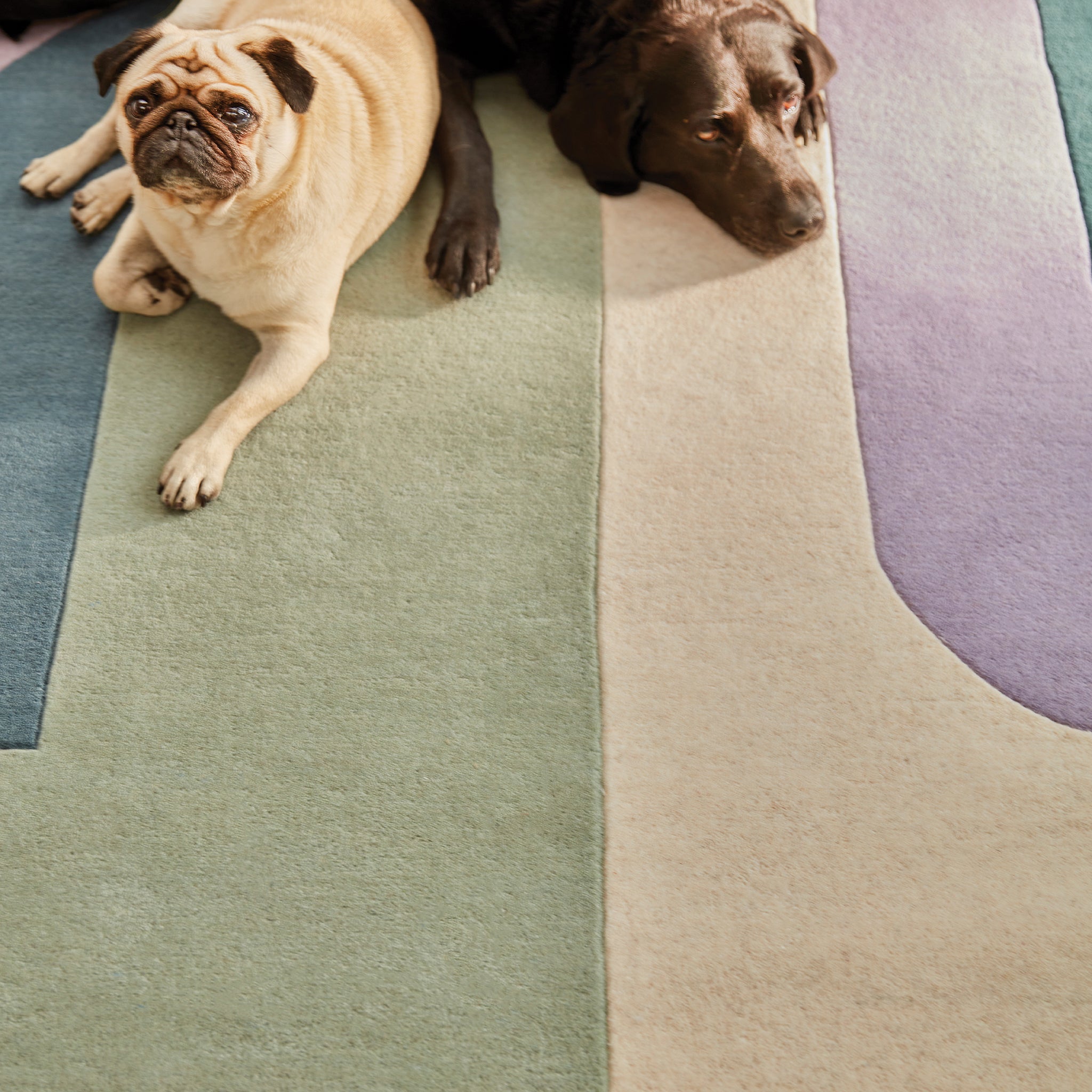 Bauhaus Rug Graphic 1