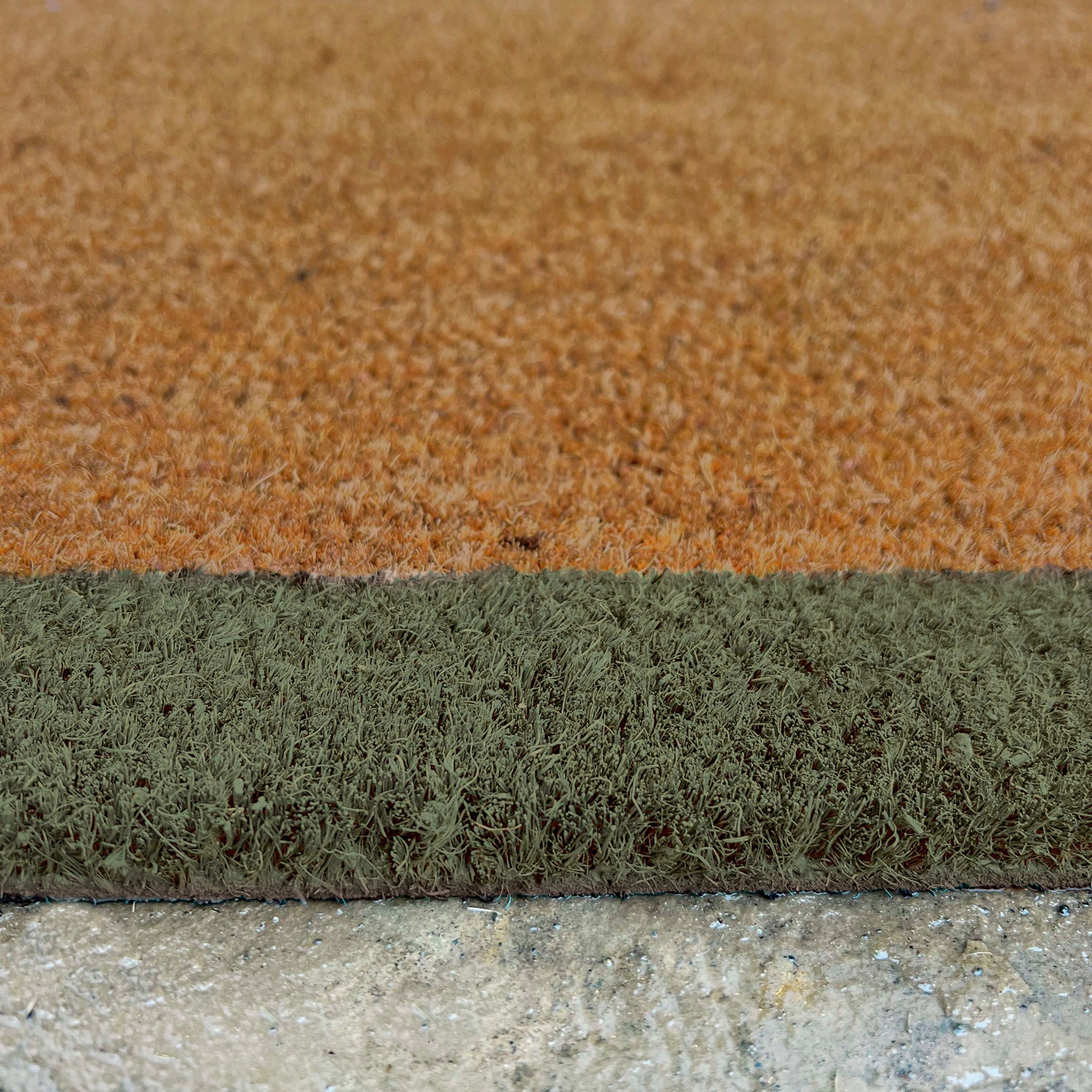 Printed Coir Border Green Doormat 4