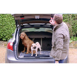 Big Paw 2 - Car Boot Protector Mat 2