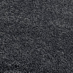 My Rug Charcoal 6