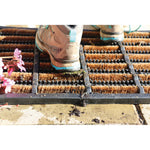 Coir Scraper Doormat Natural 2