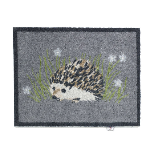 Hedgehog 1