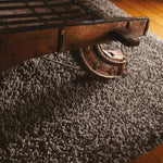 Imperial Rug Fossil 3