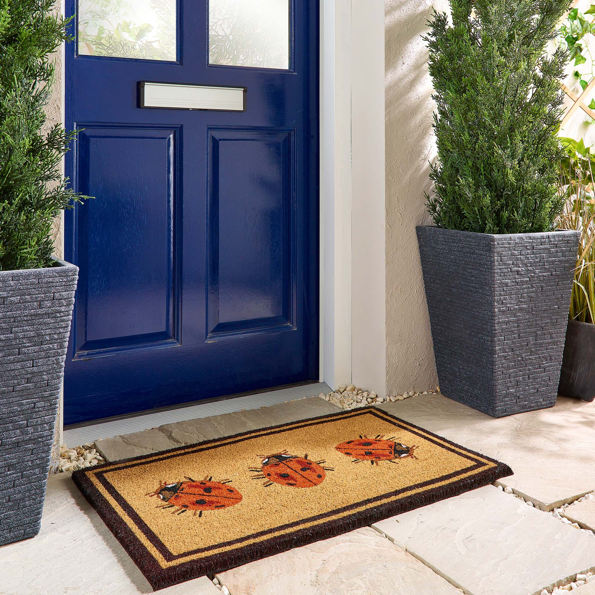 Ladybird Coir Doormat 2