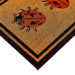 Ladybird Coir Doormat 3