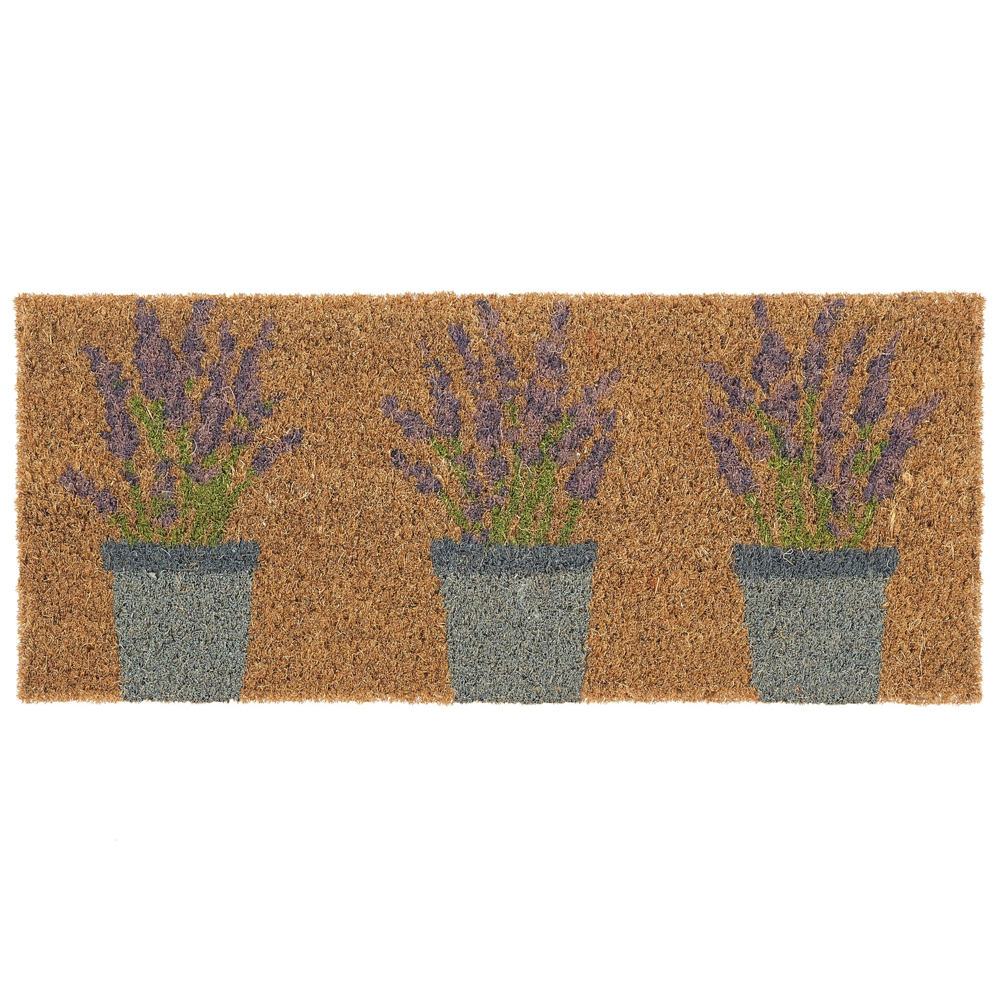 Coir Insert Lavender