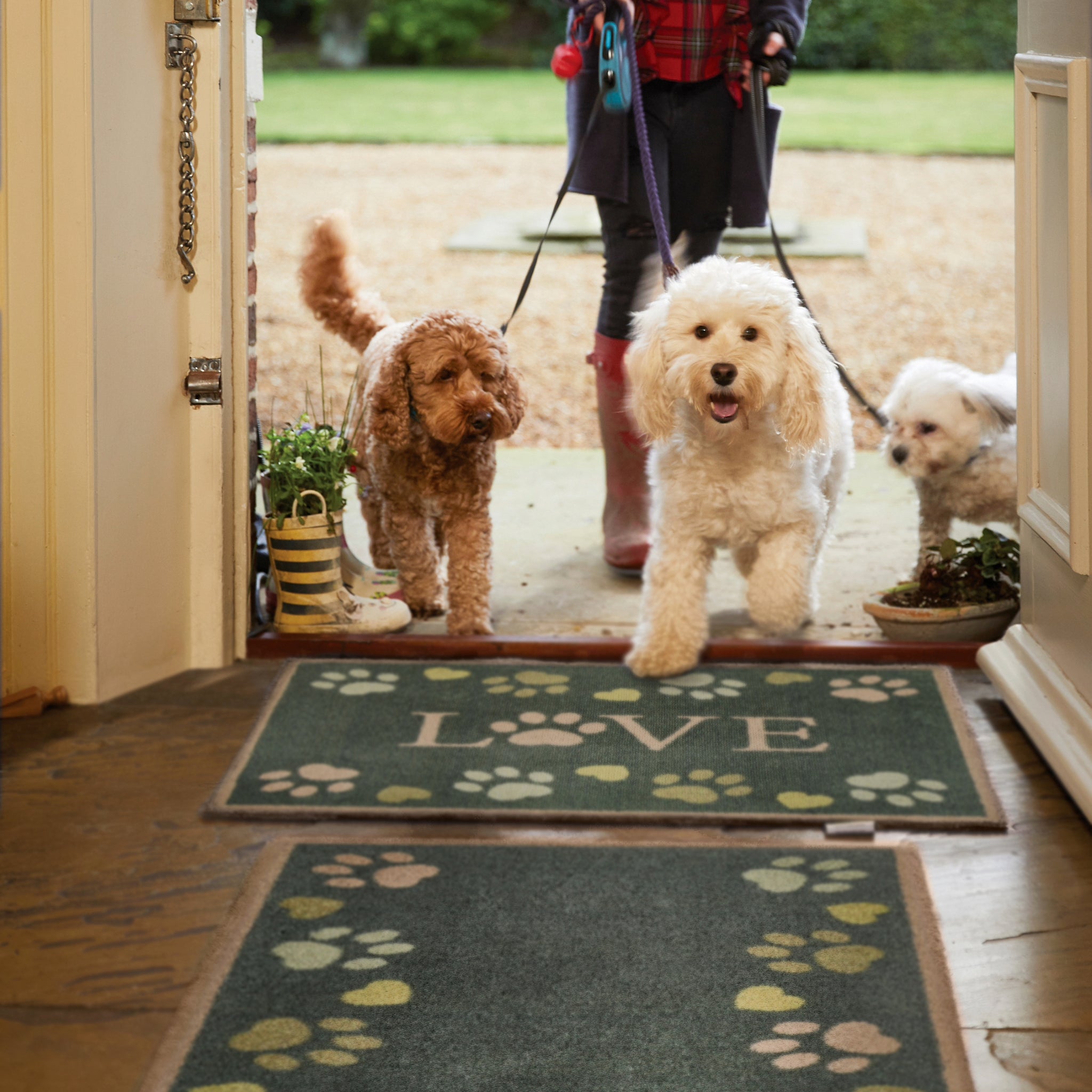 Hug Rug Green Love Paws Washable Indoor Doormat and Washable Runner