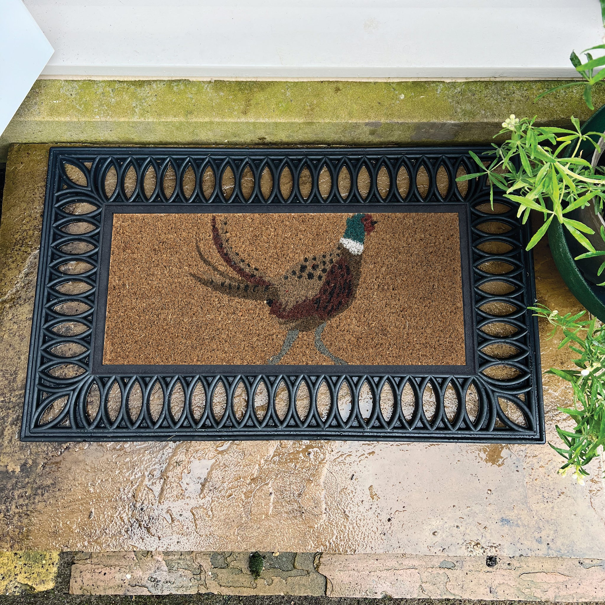 Coir Insert Pheasant