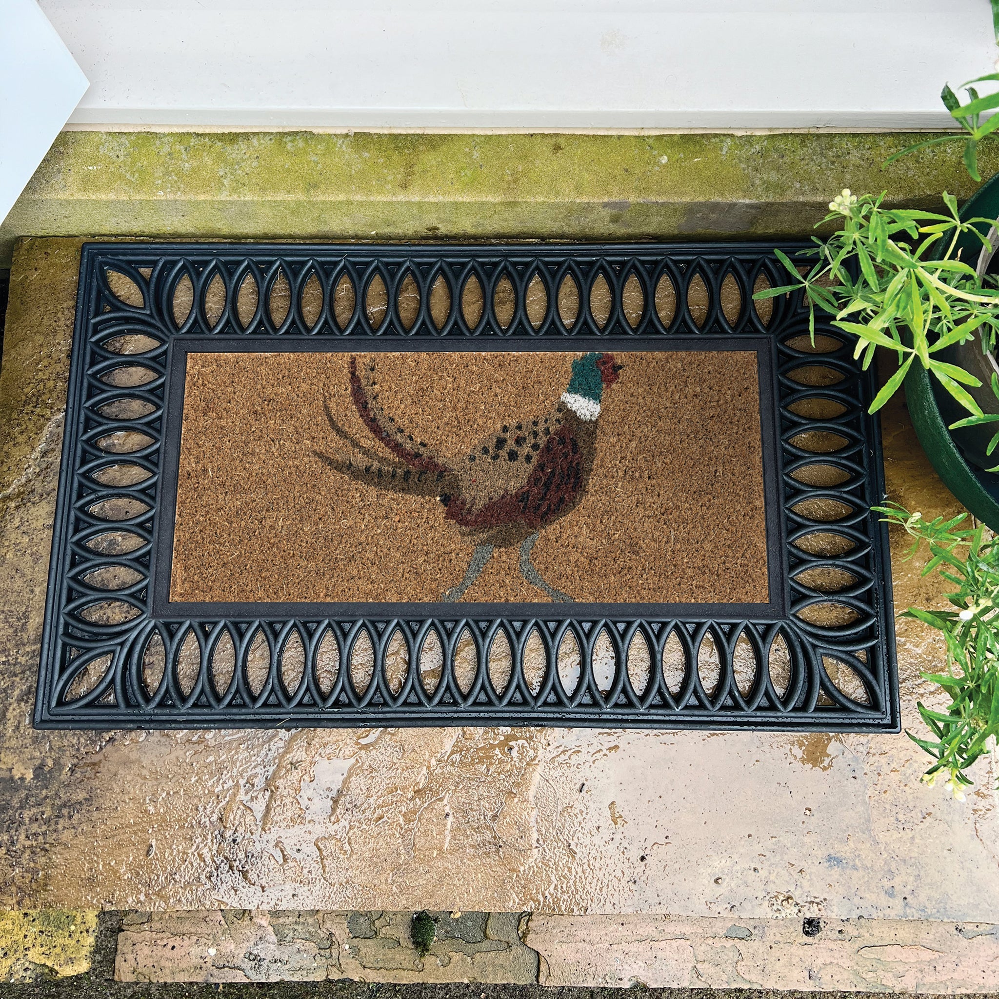 Coir Insert Pheasant Doormat 2