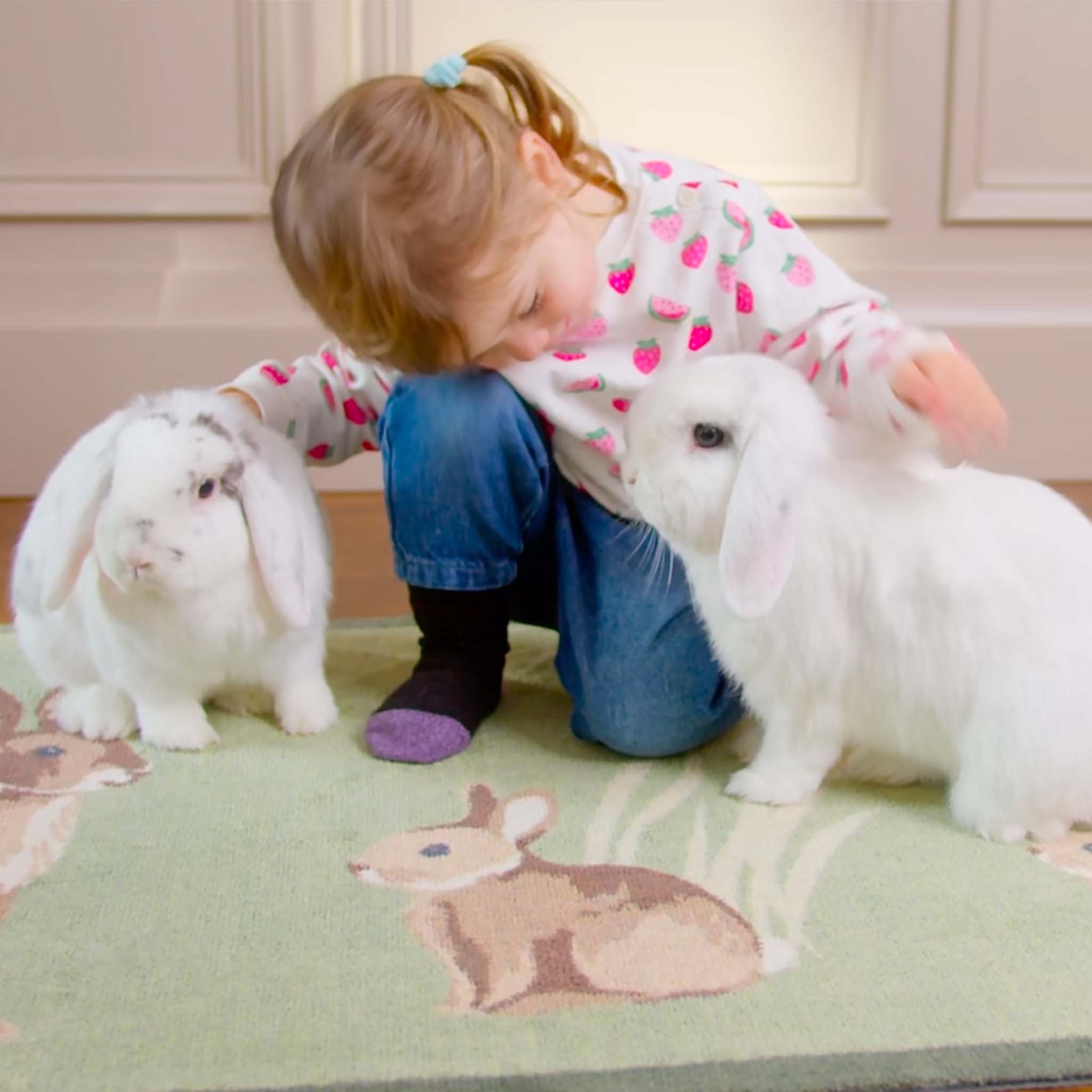 Rabbit 1