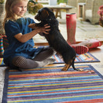 Stripe 85 Multi Washable Doormat