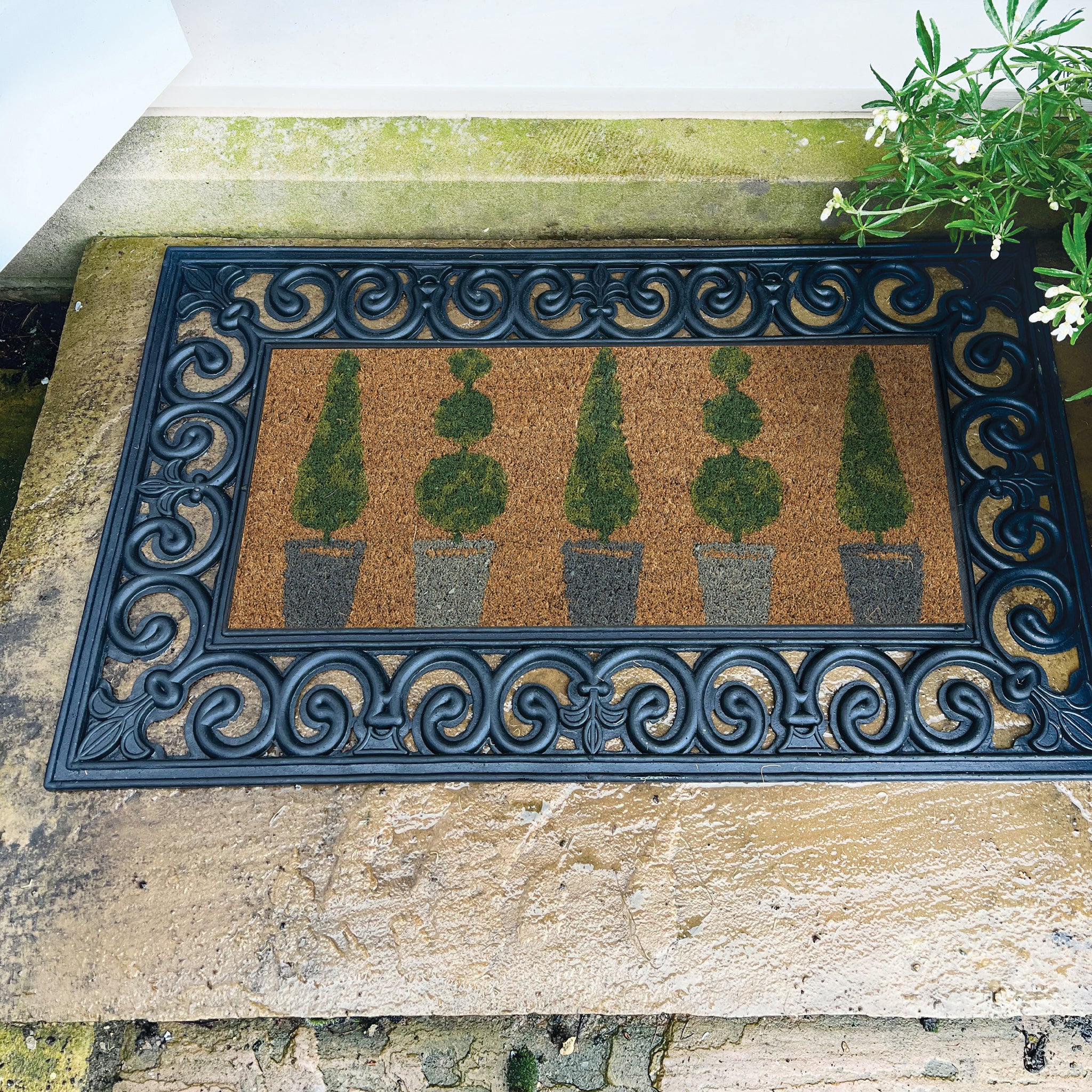 Coir Insert Topiary