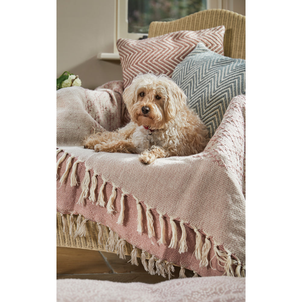 Trellis Throw Rose