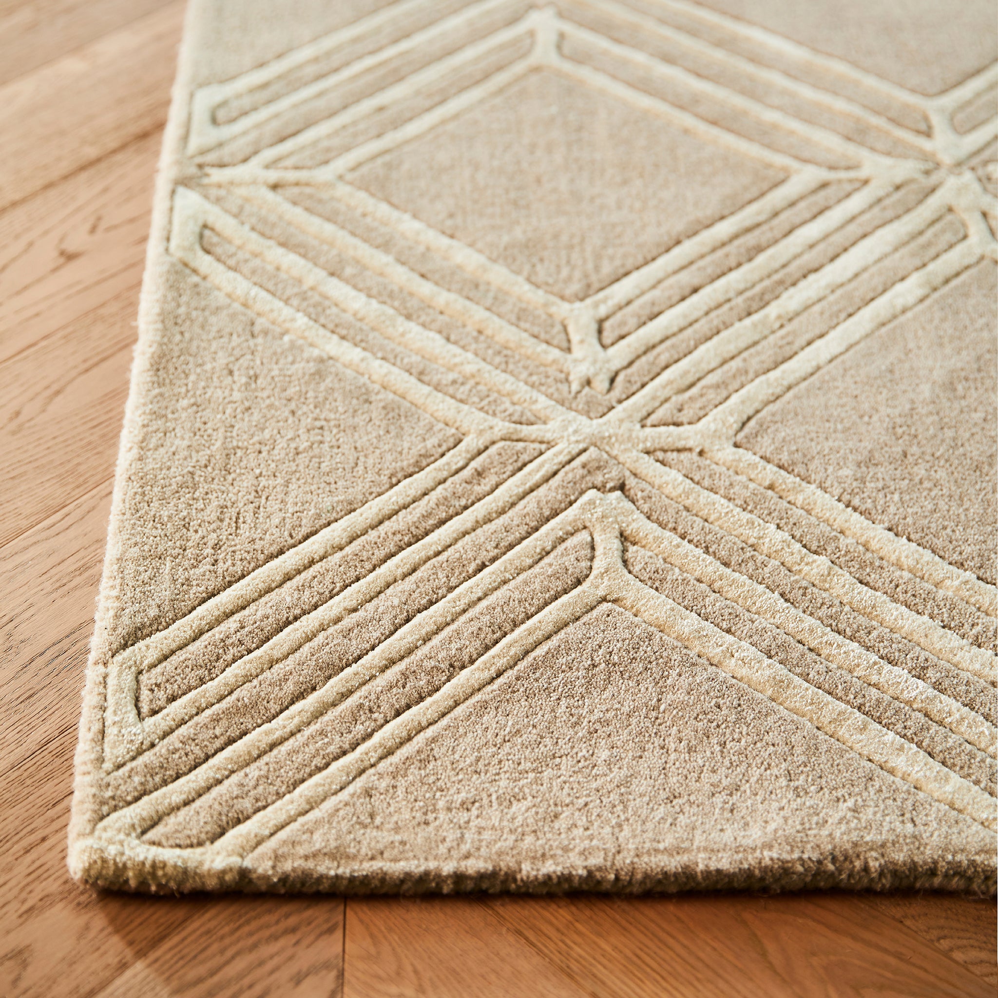 Vienna Rug Mink 3