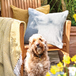 Plain Cushion Sky Grey 2