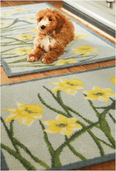 Picture of daffodil mat