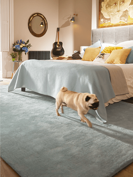 Gorgeous Blue Rugs