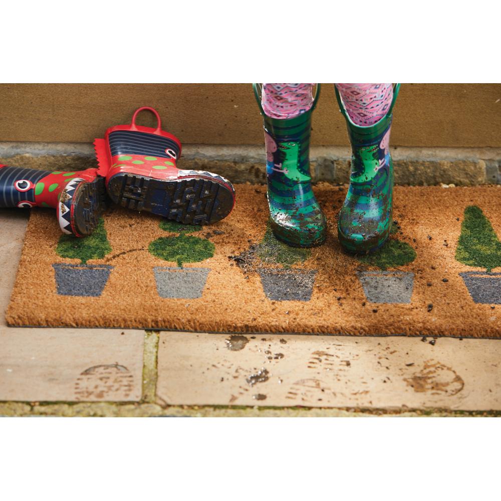 Printed Coir Topiary
