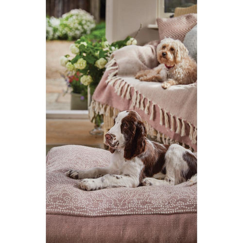 Rose gold dog bed discount